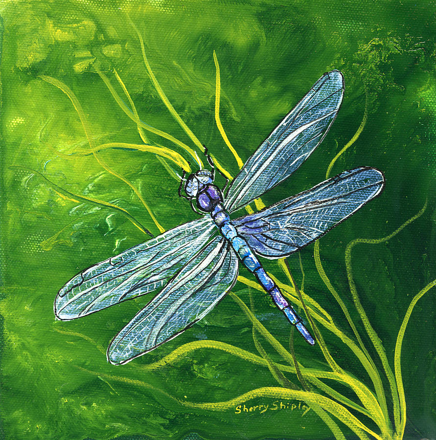891x900 Dragonfly Painting By Sherry Shipley - Dragonfly Painting