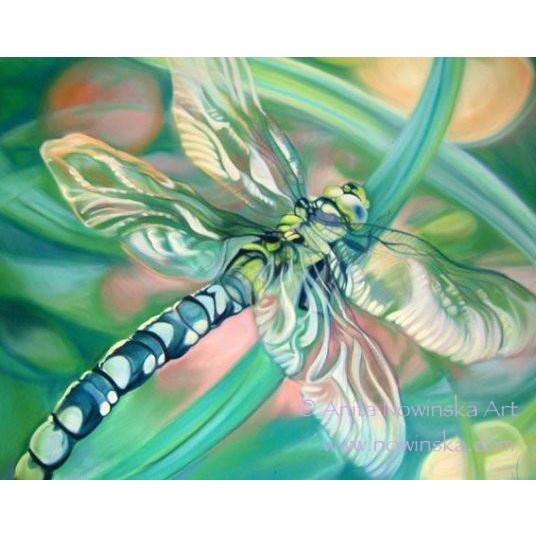 536x536 Dragonfly - Dragonfly Painting