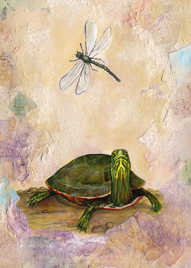 642x900 Painted Turtle And Dragonfly Canvas Print Canvas Art By Darlene - Dragonfly Painting Canvas