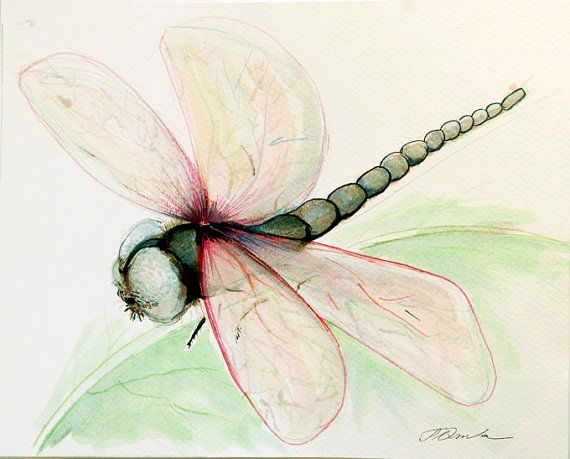 570x459 Dragonfly Painting Nursery Art Watercolor Painting Original - Dragonfly Painting Watercolor