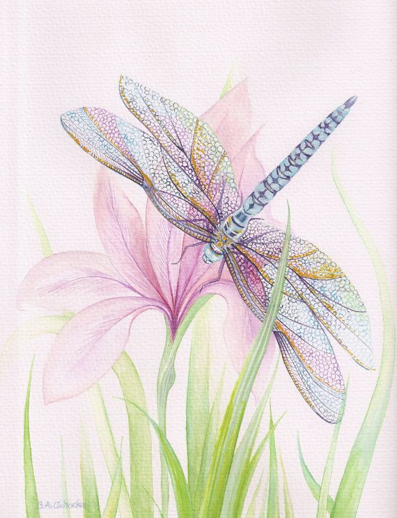 570x743 Greeting Card Sheer Wings A6 Size. Via Etsy Gift Ideas - Dragonfly Painting Watercolor