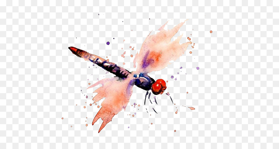 900x480 Watercolor Painting Dragonfly - Dragonfly Painting Watercolor