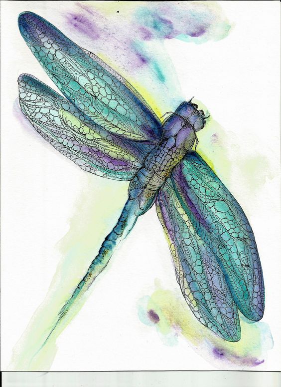 564x775 Watercolors Dragonfly Art Print Art Dragonfly Art - Dragonfly Painting Watercolor