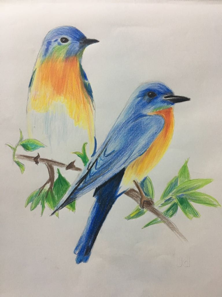 768x1024 Colors N Shades Institute Of Drawing And Painting Photos - Drawing Painting