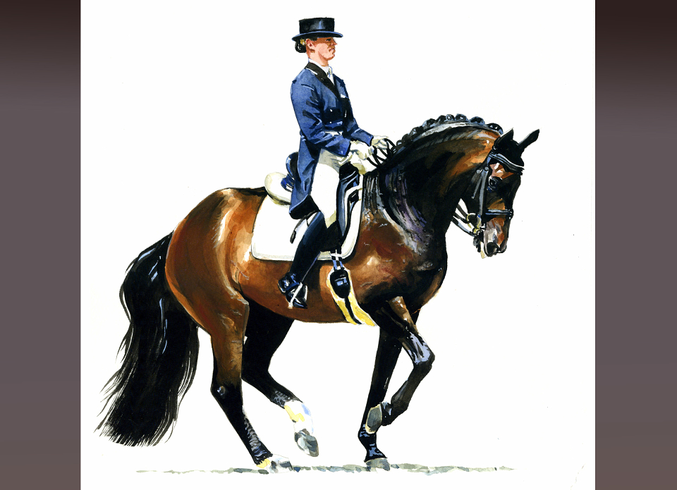 960x695 Dressage Horse Watercolour Painting By Tim Olden For Holly Hill - Dressage Horse Painting
