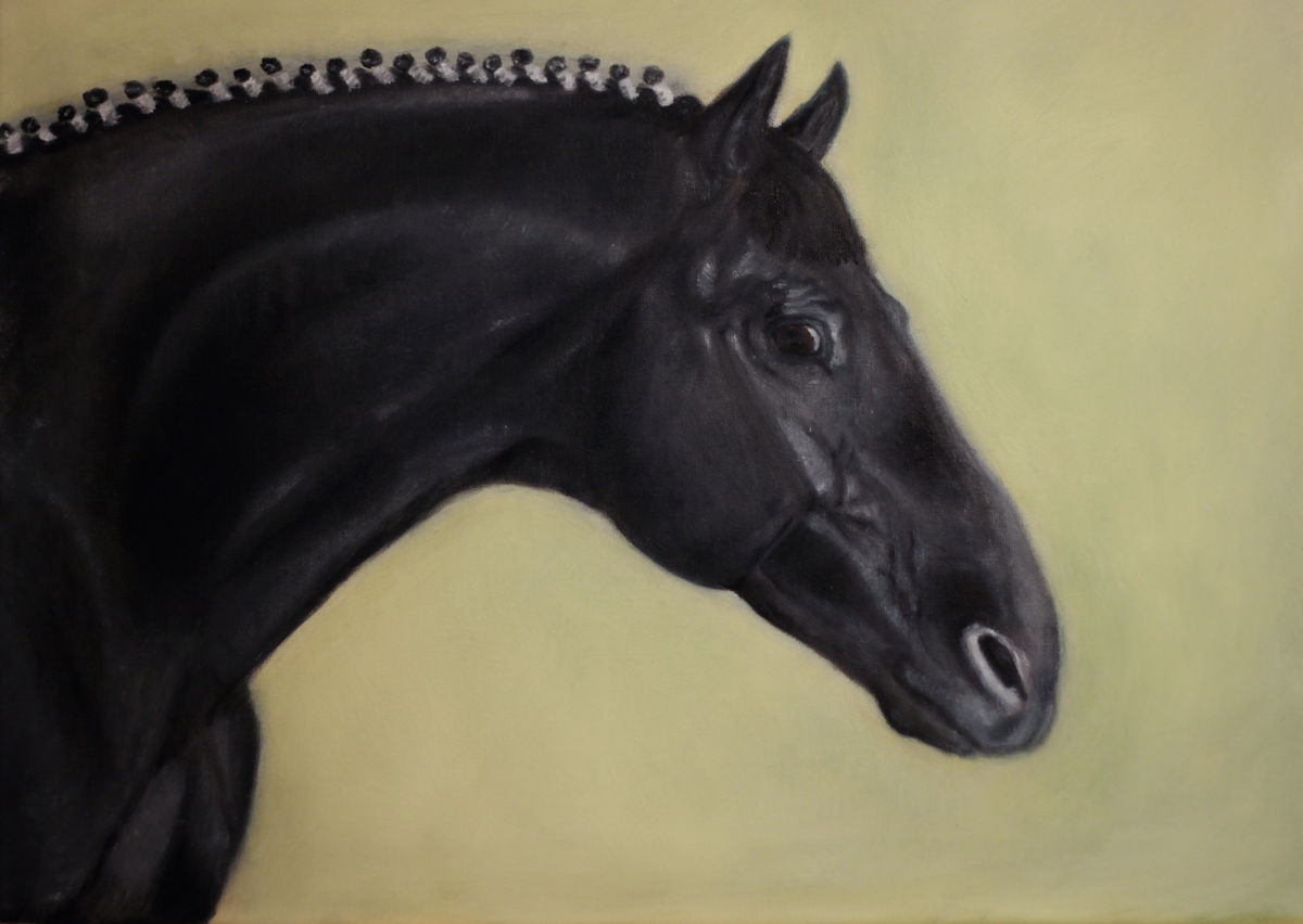 1200x852 Dressage Horse Portrait Art Oil Painting (Jorgen Wagner) - Dressage Horse Painting
