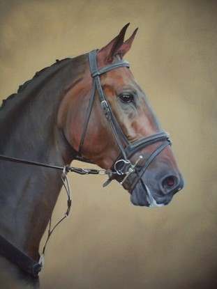 311x415 Welcome To Oil Paintings Amp Pet Care By Martyn White - Dressage Horse Painting