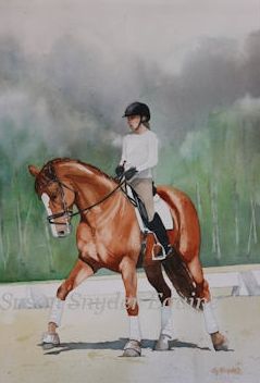 239x352 Watercolor Horse Painting Of A Dressage Horse And Rider - Dressage Horse Painting
