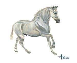 300x243 Dressage Horse Paintings Fine Art America - Dressage Horse Painting