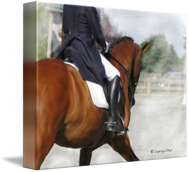 650x593 Dressage Painting By Lisie V - Dressage Painting
