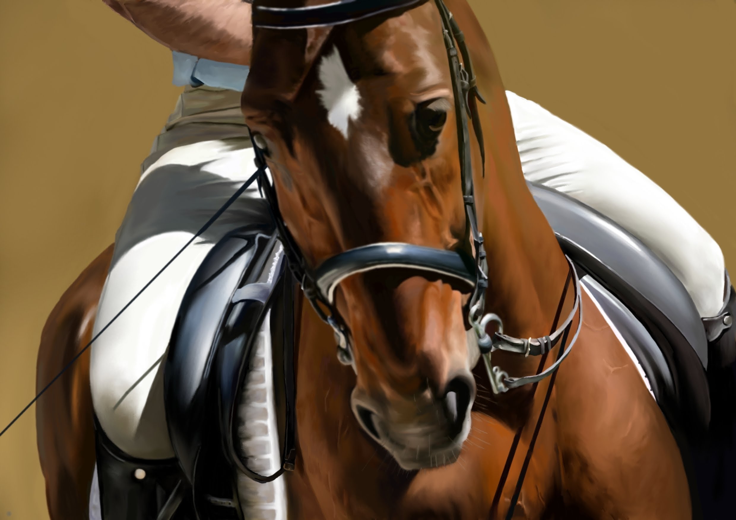 2480x1753 How To Draw A Realistic Horse Portrait - Dressage Painting