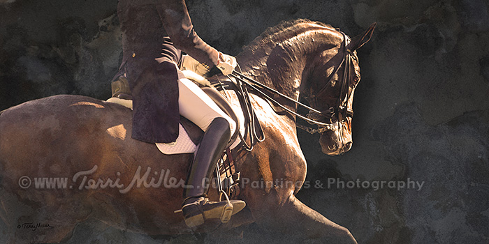 700x350 Terri Miller On Paintings, Photos And Dressage Art, Photography - Dressage Painting