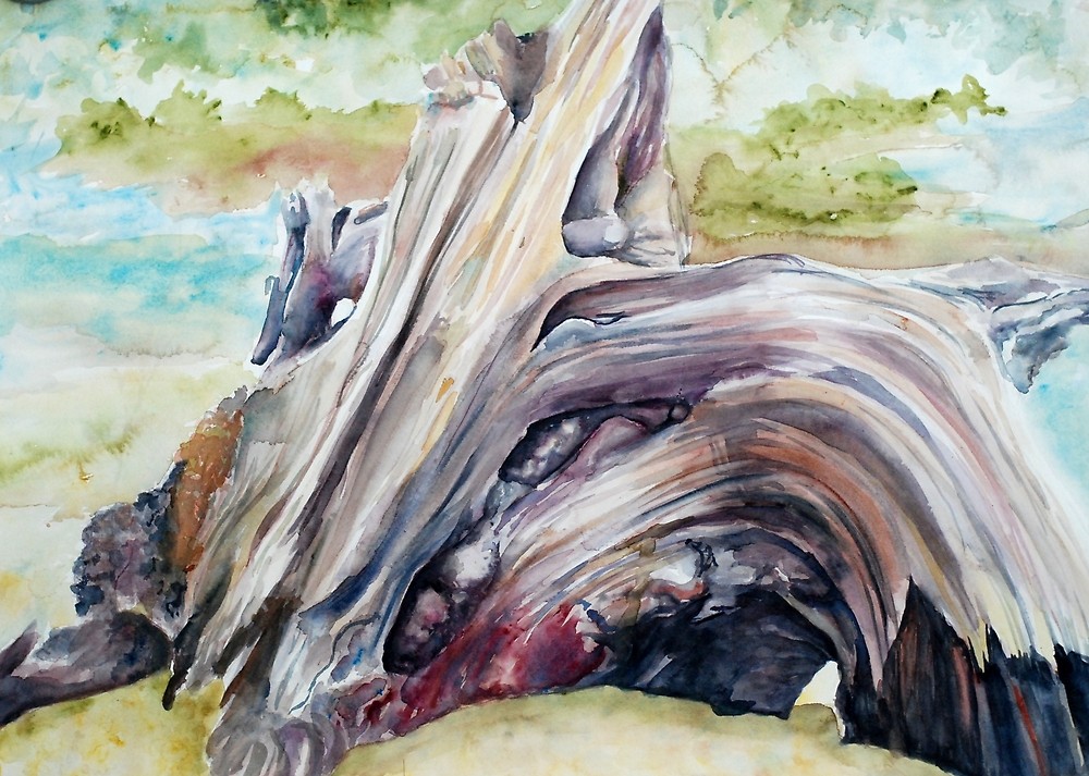 1000x713 Driftwood Painting Watercolor Art By Artluver Redbubble - Driftwood Painting