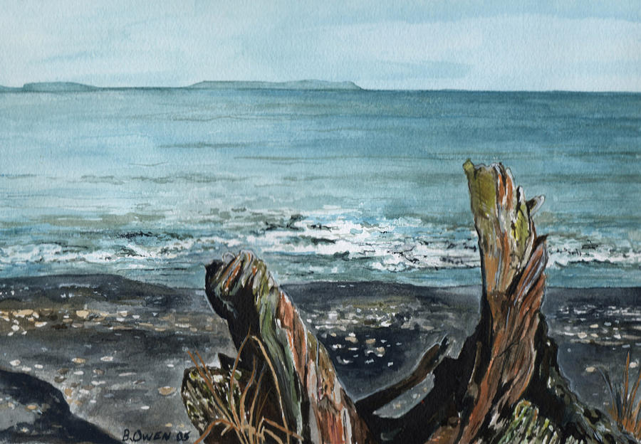 900x624 Driftwood Painting By Brenda Owen - Driftwood Painting