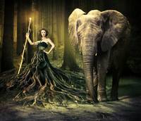 200x172 Stunning Druid Artwork For Sale On Fine Art Prints - Druid Painting