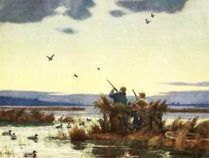 300x227 Duck Hunting By Aiden Lassell Ripley Ebay - Duck Hunting Painting