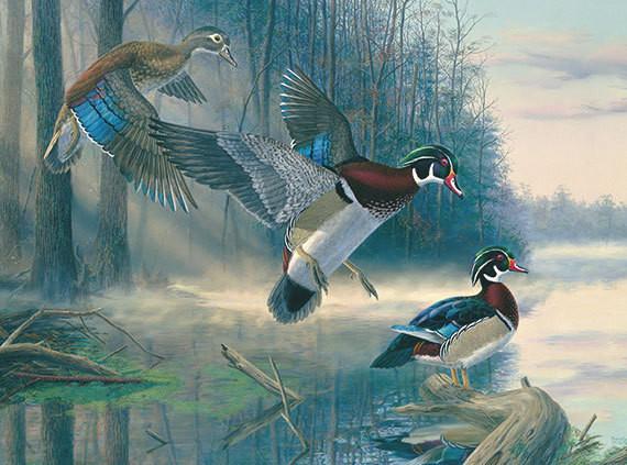 570x423 Ducks Wall Decor, Ducks Canvas Art, Large Duck Painting, Duck - Duck Hunting Painting