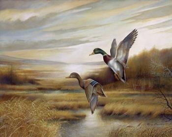 350x280 Wallsthatspeak 2 Duck Wild Geese Water Fowl Western - Duck Hunting Painting