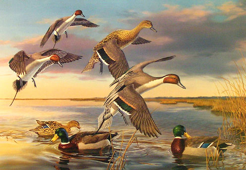 496x344 Artist Randy Mcgovern - Duck Hunting Painting