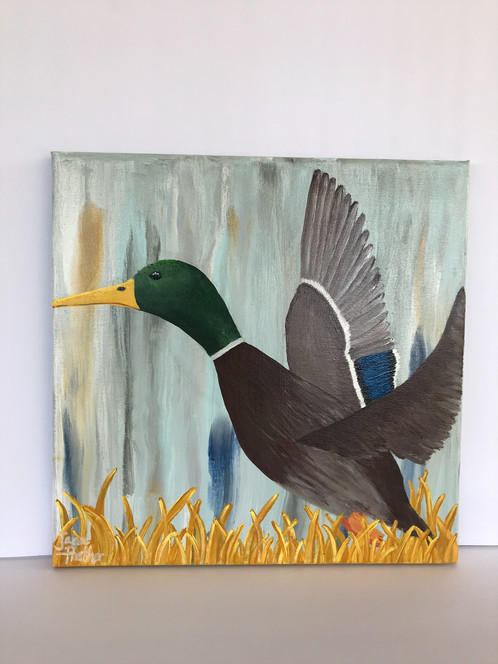 498x664 Mallard Duck Painting, 12x12 Back Stapled Canvas, Acrylic, Gloss - Duck Painting