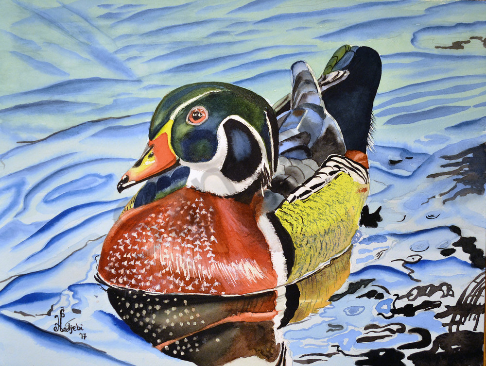 1000x754 Wood Duck Painting - Duck Painting