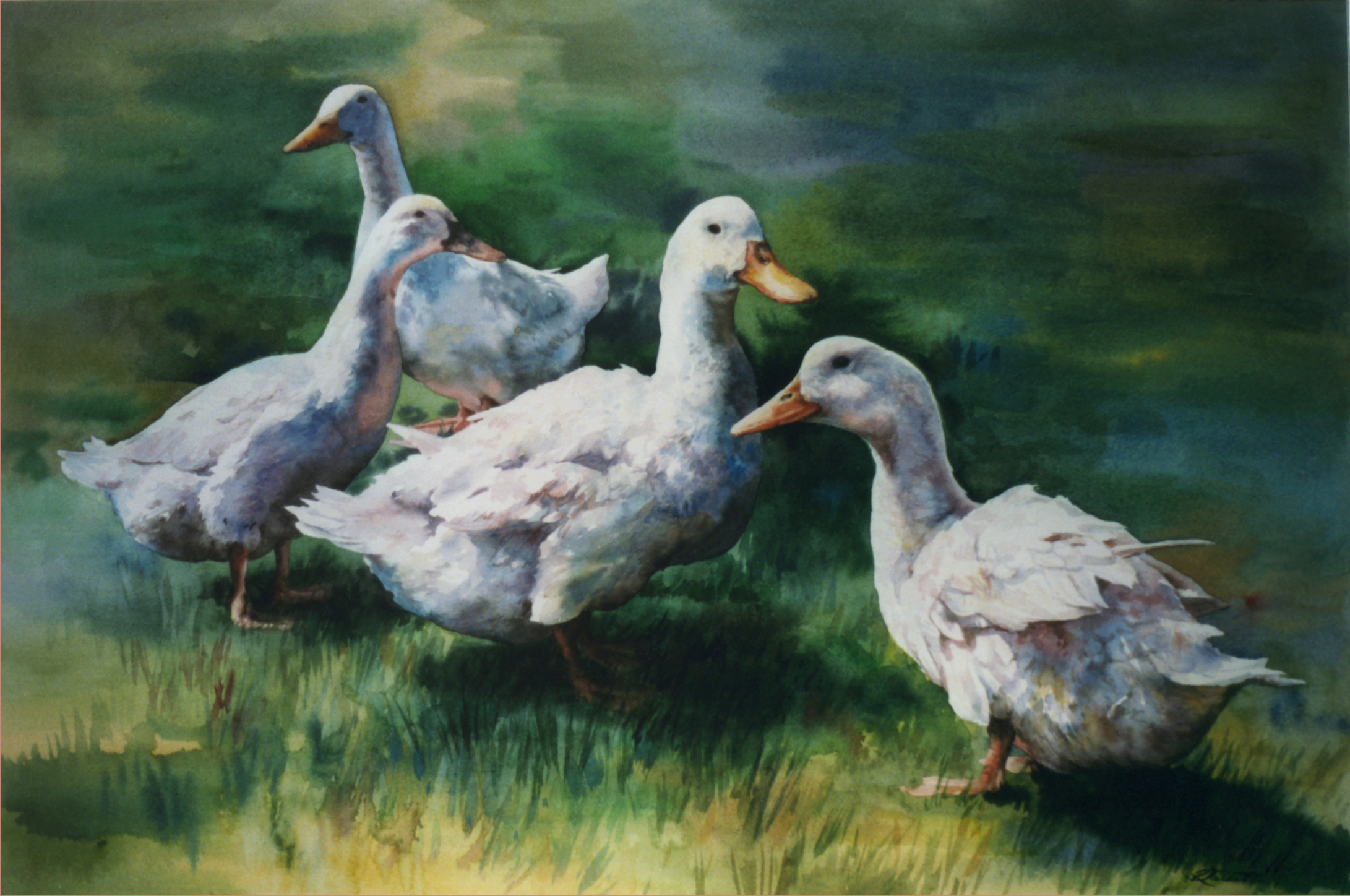 2182x1448 Yellow Duck Painting - Duck Painting Images