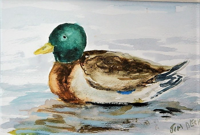 699x473 Duck Painting Mallard ,waterfowl, Wildlife - Duck Painting Images