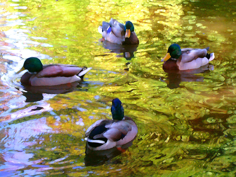 900x675 Four Ducks On Pond Painting By Amy Vangsgard - Duck Pond Painting