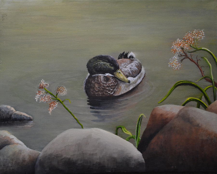 900x725 Mallard Duck Pond Painting By Martin Schmidt - Duck Pond Painting