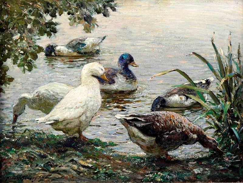 Duck Pond Painting at PaintingValley.com | Explore collection of Duck ...