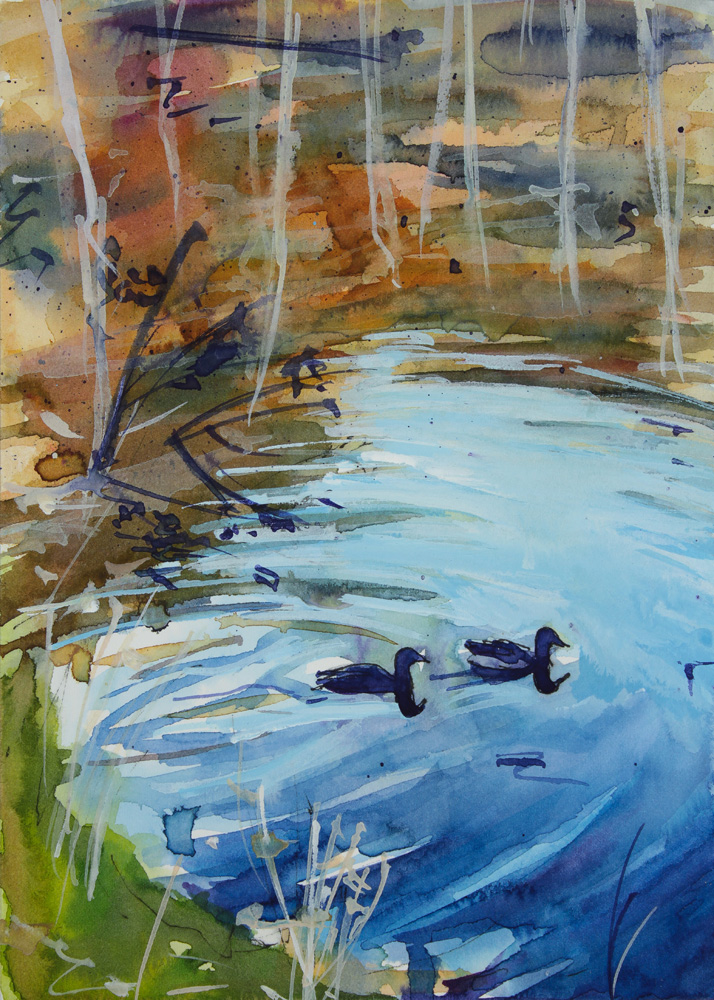714x1000 Chris Breier Ducks - Duck Pond Painting