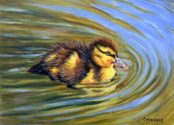 700x503 Duckling Painting Little Paddler By Artist Chris Chalk - Duckling Painting