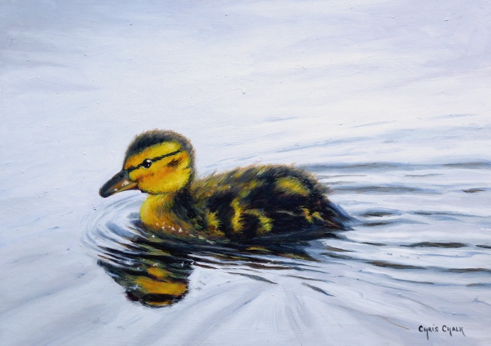 700x493 Duckling Painting In Oils, Little Swimmer - Duckling Painting