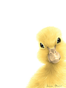 225x300 Ducklings Paintings Fine Art America - Duckling Painting