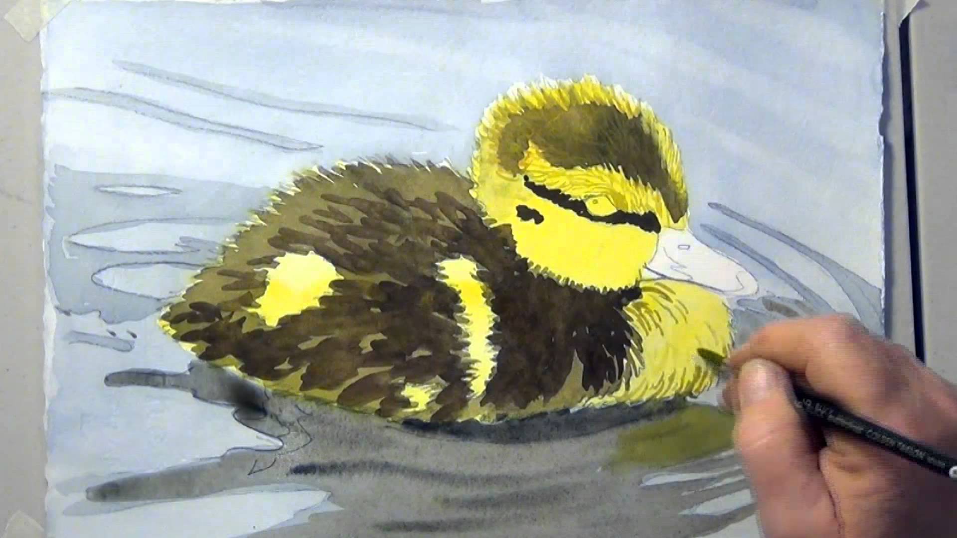 1920x1080 How To Paint A Duckling In Watercolor - Duckling Painting