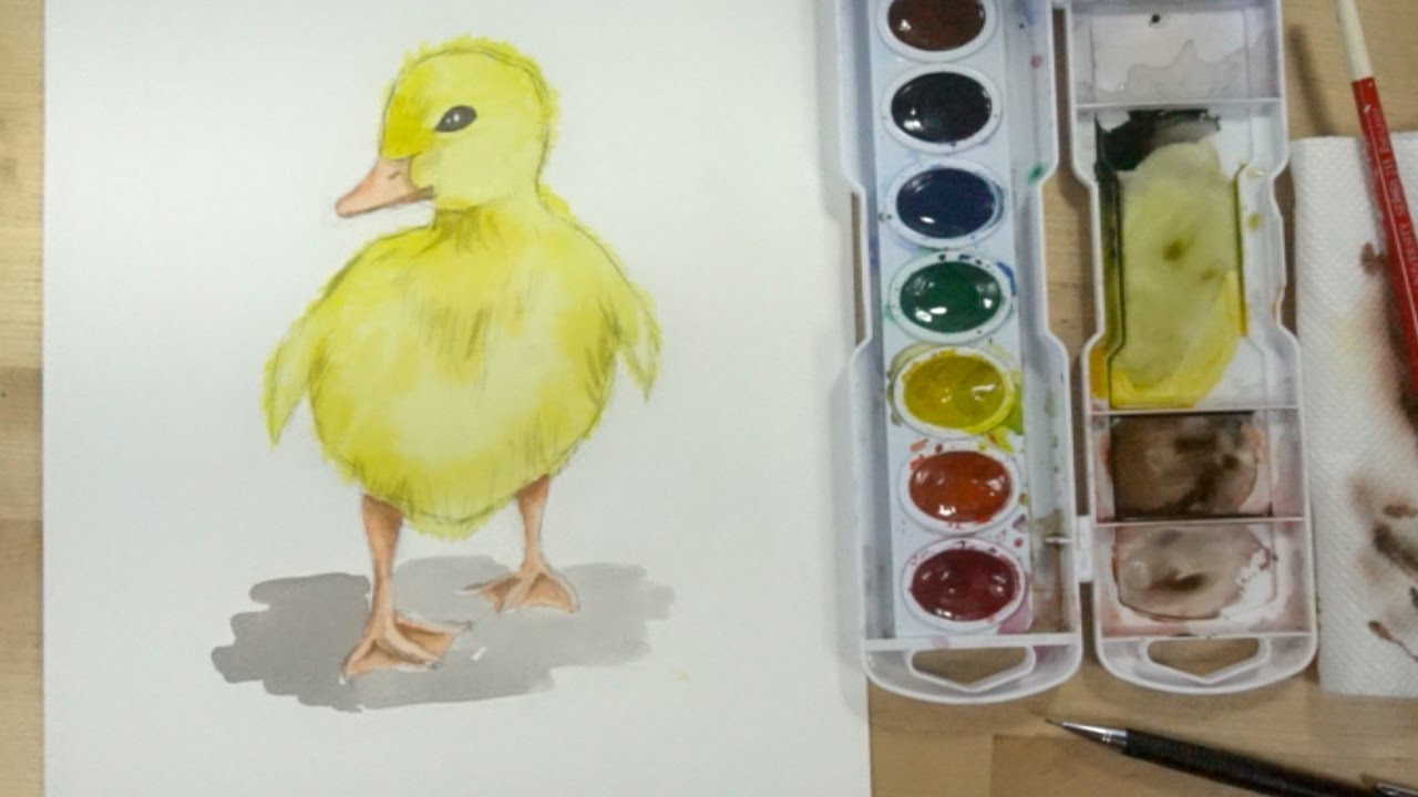 1280x720 How To Draw And Paint A Duck A Baby Duck (Duckling) - Duckling Painting
