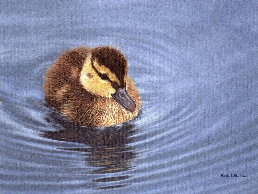 900x675 Mallard Duckling Painting Painting By Rachel Stribbling - Duckling Painting