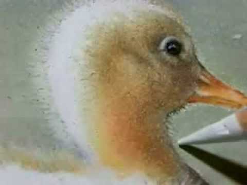 480x360 Painting A Day Demonstration - Duckling Painting