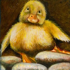 240x240 Sold - Duckling Painting