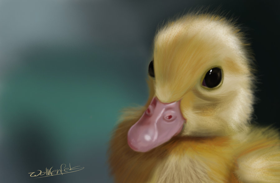 900x589 Animal Challenge 2 Duckling By Wolkenfels - Duckling Painting