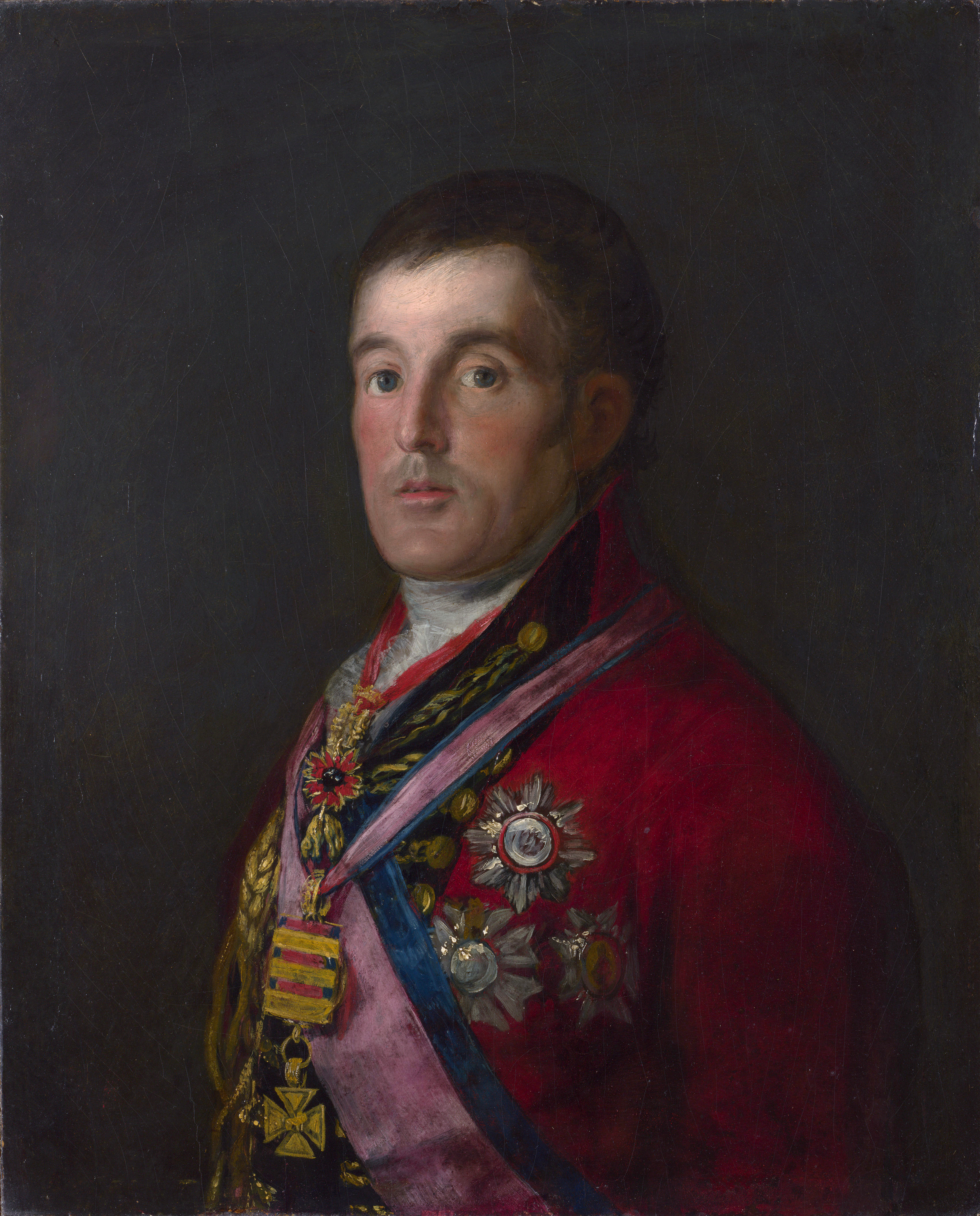 3406x4226 Portrait Of The Duke Of Wellington - Duke Of Wellington Painting