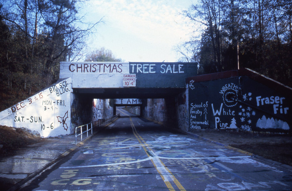 1024x671 East Campus Bridge Painting For School Of Forestry - Duke University Painting