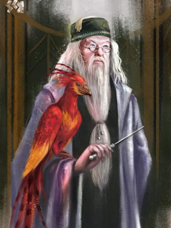 337x450 Ravgar Harry Potter - Dumbledore Painting