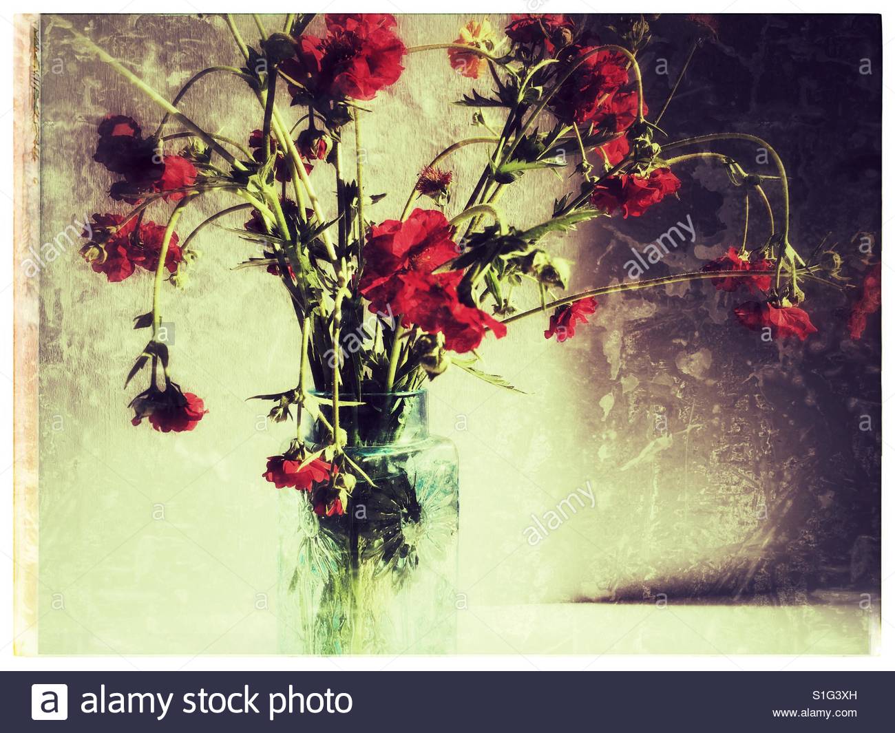 1300x1065 Dying Flowers In Vase Stock Photo 310755609 - Dying Flower Painting