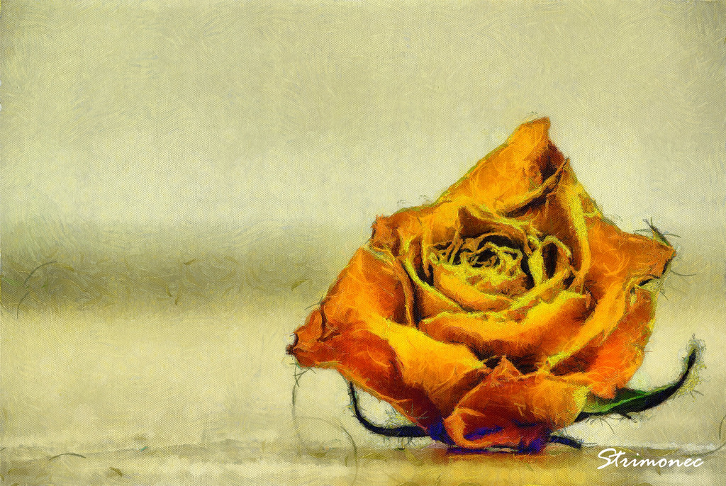 1024x686 The World's Best Photos Of Dying And Freestyle - Dying Flower Painting