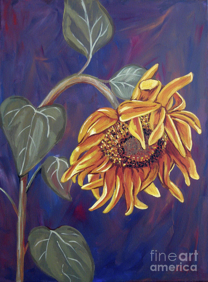 663x900 Wilting Sunflower Painting By Rachelle Dyer - Dying Flower Painting