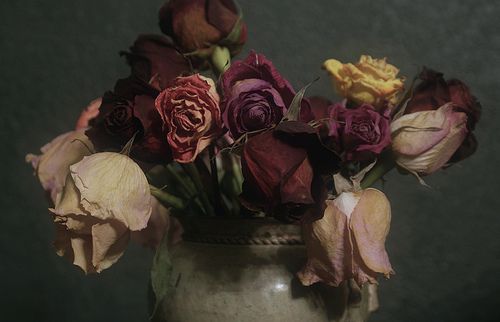 500x322 Dying Flowers - Dying Flower Painting