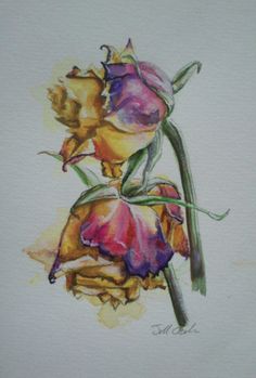 236x349 Drawing Of Dying Rose Art Is Life Special Tattoos - Dying Rose Painting