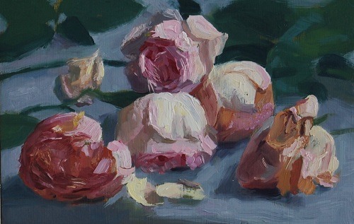 500x317 Floral Paintings Andrew Hitchcock - Dying Rose Painting