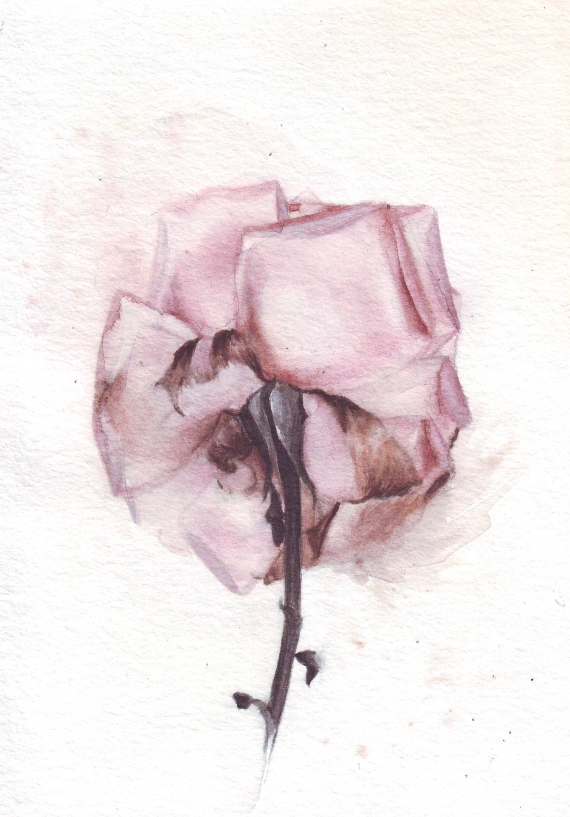 570x817 Hm081 Dying Rose By Helga Mcleod Gallery Plus Gallery Plus - Dying Rose Painting